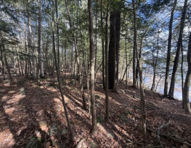 TimberRidge New construction, 236' shore,3 acre gorgeous site - photo 10