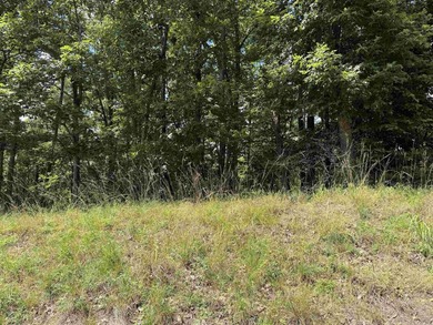 Three beautiful large wooded golf course lots, all with only one - photo 20