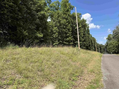 Three beautiful large wooded golf course lots, all with only one - photo 32