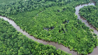 Lake Acreage For Sale in New Edinburg, Arkansas