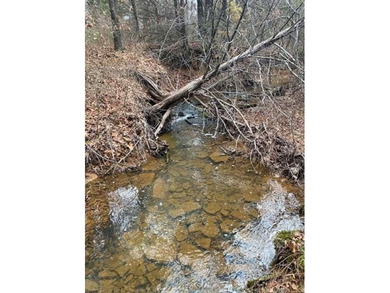 19.37 Acres - Texanna Road, Eufaula, OK Escape to your own slice - photo 5