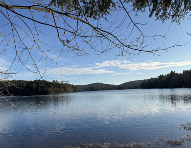 TimberRidge New construction, 236' shore,3 acre gorgeous site - photo 7