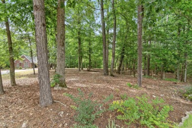 Lake Lot For Sale in Hot Springs Village, Arkansas
