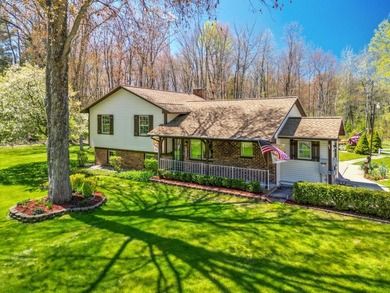 (private lake, pond, creek) Home For Sale in Bitely Michigan