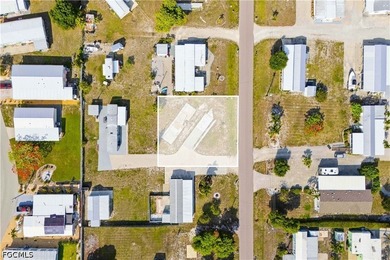 Cleared and improved lot in the desirable Flamingo Bay community - photo 5