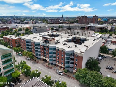 Experience elevated downtown living in this stunning 4th-floor - photo 2