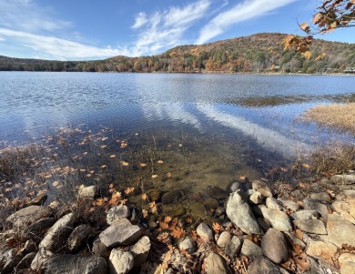 TimberRidge New construction, 236' shore,3 acre gorgeous site - photo 12