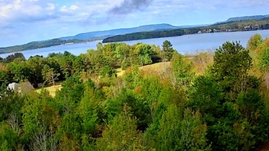 Lake Lot For Sale in South Pittsburg, Tennessee