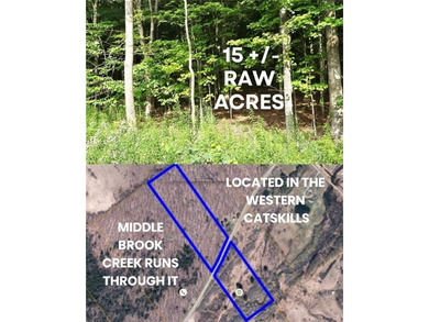 (private lake, pond, coastal) Acreage Sale Pending in Harpersfield New York