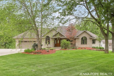 Lake Home For Sale in Marne, Michigan