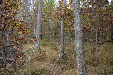 Two wooded and buildable lots in Castle Rock Estates subdivision - photo 4