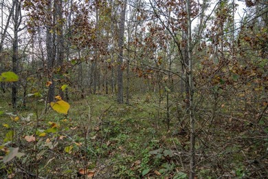 Two wooded and buildable lots in Castle Rock Estates subdivision - photo 5