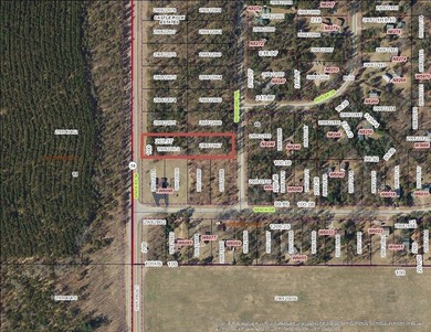 Two wooded and buildable lots in Castle Rock Estates subdivision - photo 7