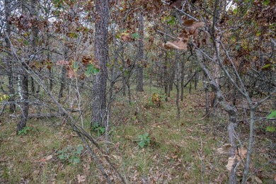 Two wooded and buildable lots in Castle Rock Estates subdivision - photo 10