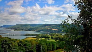 Lake Lot For Sale in Guild, Tennessee