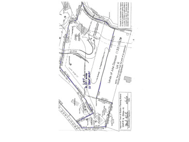 TimberRidge New construction, 236' shore,3 acre gorgeous site - photo 13