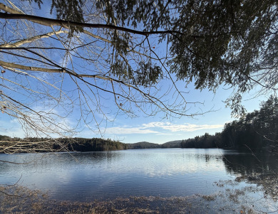 TimberRidge New construction, 236' shore,3 acre gorgeous site - photo 3