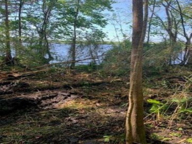 (private lake, pond, creek) Acreage For Sale in East Palatka Florida