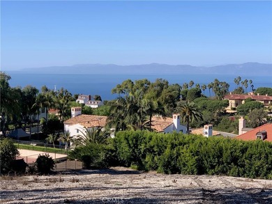 Rare opportunity to acquire the largest vacant lot available in - photo 4