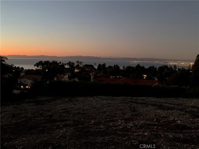 Rare opportunity to acquire the largest vacant lot available in - photo 5