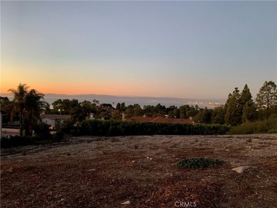 Rare opportunity to acquire the largest vacant lot available in - photo 6