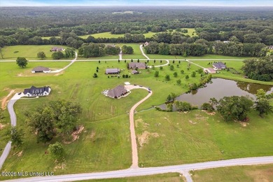 Nestled in the heart of Flora, Mississippi, at 140 Westchester - photo 17