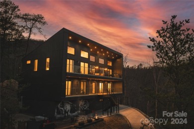 There's nothing like this in Western NC! Stunning, ultra-modern - Lake Home For Sale in Lake Lure, North Carolina