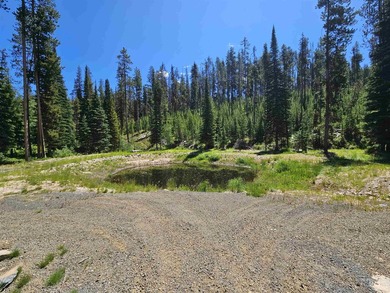 NEWLY REMODELED LOG HOME in the great community if DIXIE, IDAHO - photo 25
