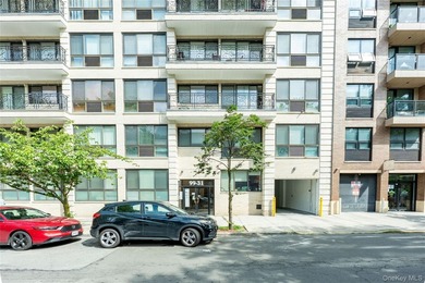 Experience luxury penthouse living in the heart of Rego Park! - photo 1