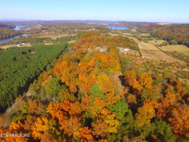 Tennessee River - Loudon County Acreage For Sale in Loudon Tennessee