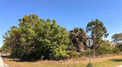 Lehigh Acres Area Lot For Sale in Lehigh Acres Florida