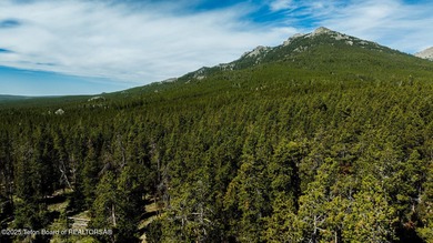 For the first time ever, this Historic Hazelton Peak Retreat - photo 11