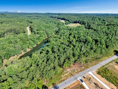 MOTIVATED SELLER! If you are looking for a great lot with a - photo 12