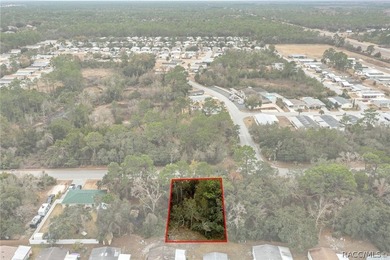 Here is a great building lot for your new single family home - photo 13