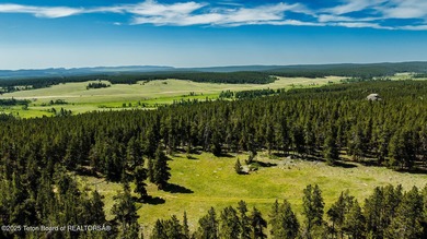 For the first time ever, this Historic Hazelton Peak Retreat - photo 13