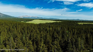 For the first time ever, this Historic Hazelton Peak Retreat - photo 14