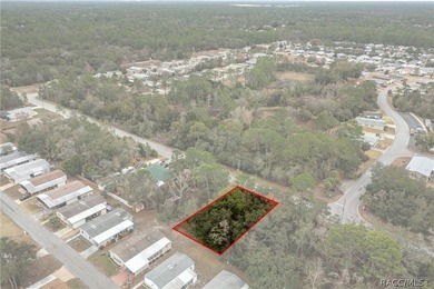 Here is a great building lot for your new single family home - photo 15