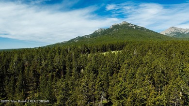 For the first time ever, this Historic Hazelton Peak Retreat - photo 15