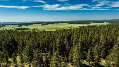 For the first time ever, this Historic Hazelton Peak Retreat - photo 16