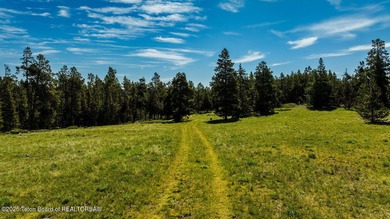 For the first time ever, this Historic Hazelton Peak Retreat - photo 17