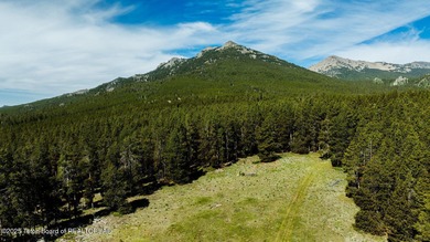 For the first time ever, this Historic Hazelton Peak Retreat - photo 18