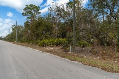 Here is a great building lot for your new single family home - photo 19