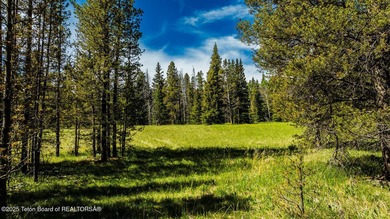 For the first time ever, this Historic Hazelton Peak Retreat - photo 19