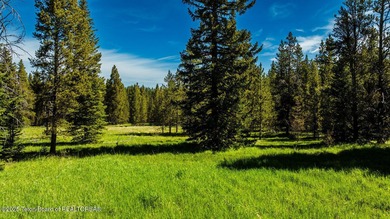 For the first time ever, this Historic Hazelton Peak Retreat - photo 20