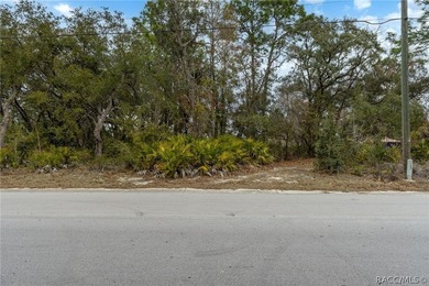 Here is a great building lot for your new single family home - photo 21