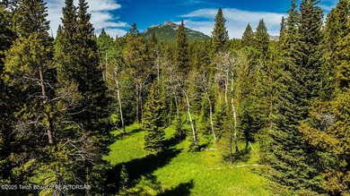 For the first time ever, this Historic Hazelton Peak Retreat - photo 21