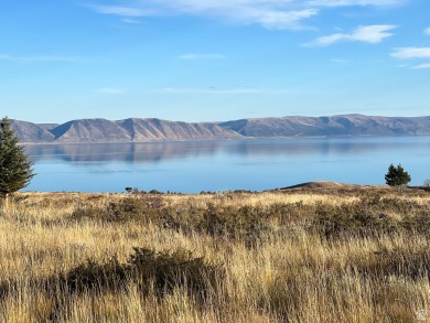 Bear Lake Acreage For Sale in Fish Haven Idaho