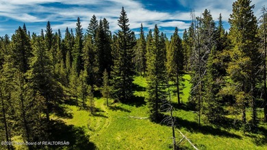 For the first time ever, this Historic Hazelton Peak Retreat - photo 22