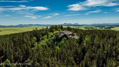 For the first time ever, this Historic Hazelton Peak Retreat - photo 23