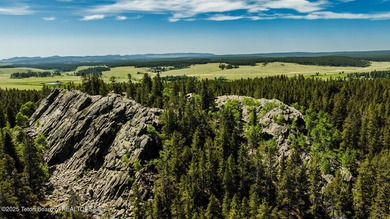 For the first time ever, this Historic Hazelton Peak Retreat - photo 24